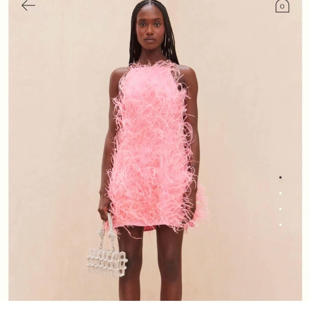 NWT Cult Gaia Shannon Feather Dress in Shell Pink Sz Small